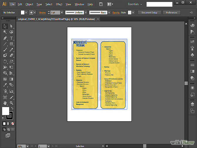 The 10 Best Leaflet Design Software Tools Ecolour Print